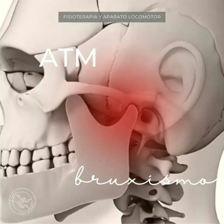 Articulación temporomandibular o ATM