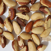 BRAZIL NUTS