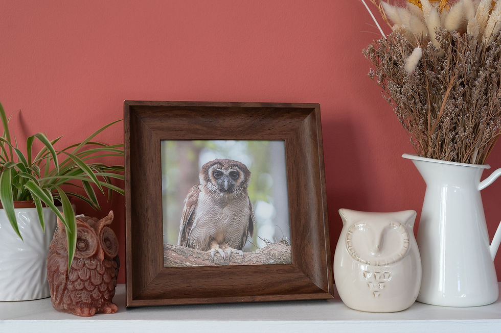 Thumbnail: Square Greeting Card "Woodland Curiosity" | Asian Brown Wood Owl