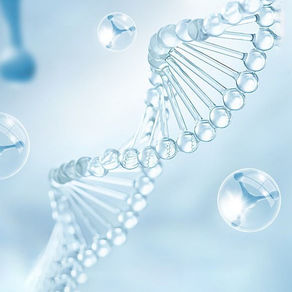 Más allá de las neuronas ¿por qué la salud del cerebro depende de todo el cuerpo?