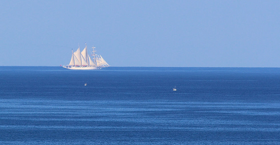 8F66936C-1726-460A-9B22-8D27059ADD51_edited.jpg