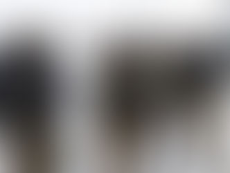 ความตึงเครียดปะทุใน 2 เมืองใหญ่ หลังเหตุยิงโดยเจ้าหน้าที่รัฐบาลกลาง (ICE)