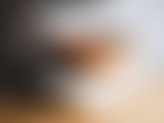 Basque Style Honey and Lemon Cheesecake