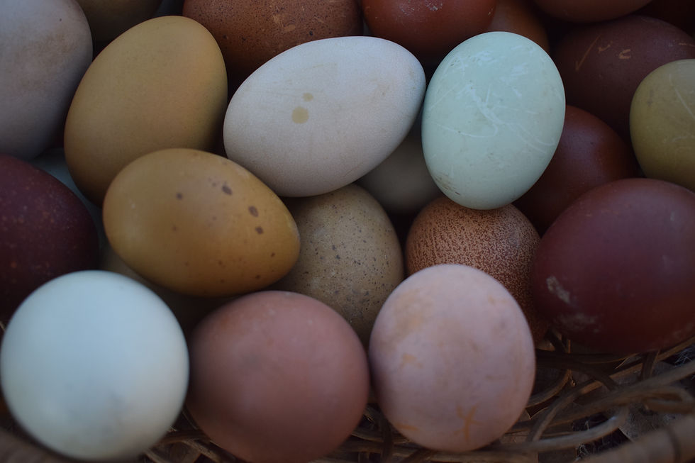 Thumbnail: Rainbow Hatching Eggs