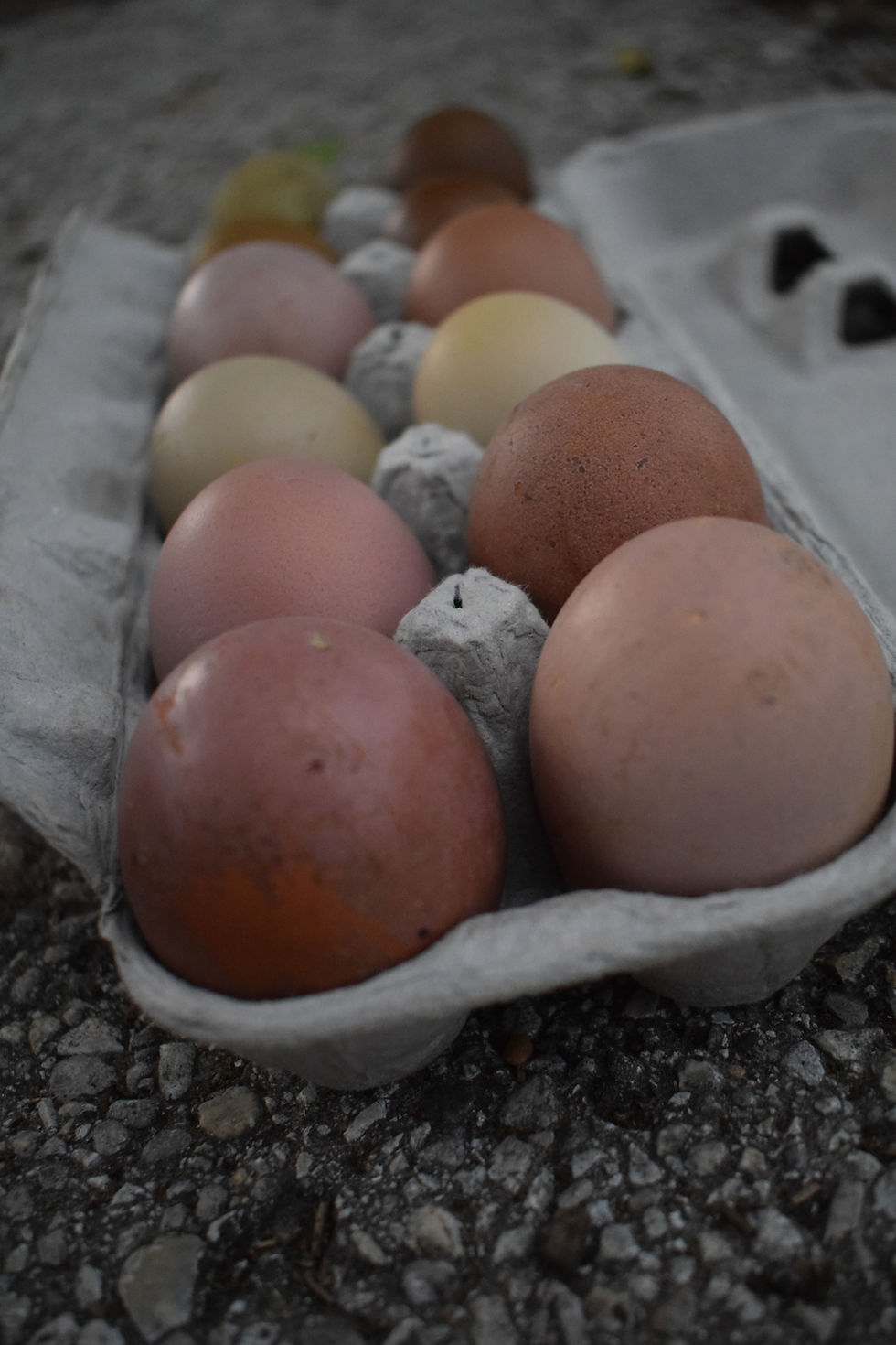 Thumbnail: Bloomed Hatching Eggs