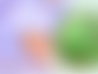 הליקובקטר פילורי Helicobacter Pylori