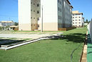 Serviço de Jardinagem