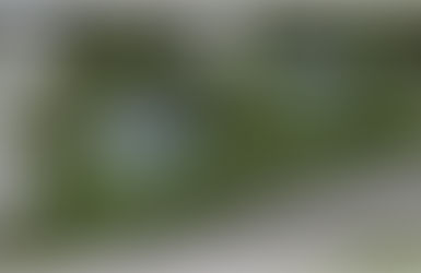 Amy Waldman | O jardim do luto