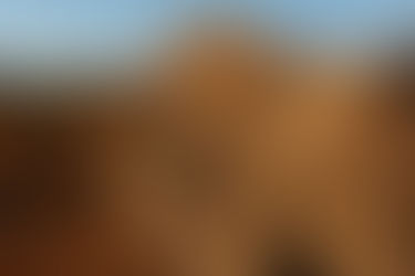 V. S. Naipaul | Sangue e mato