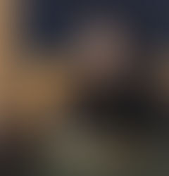 Wolf Wall – Um Livro Por Dia