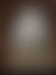 Academia Love storie