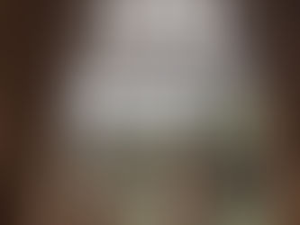 Academia Love storie