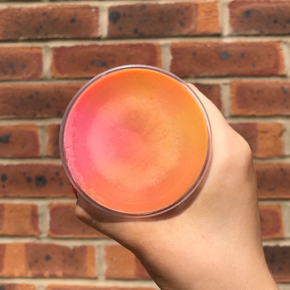 Energising Wax Melt