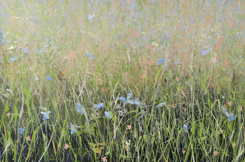 Spring Veld, 2025,
Oil on board
20 x 30 cm