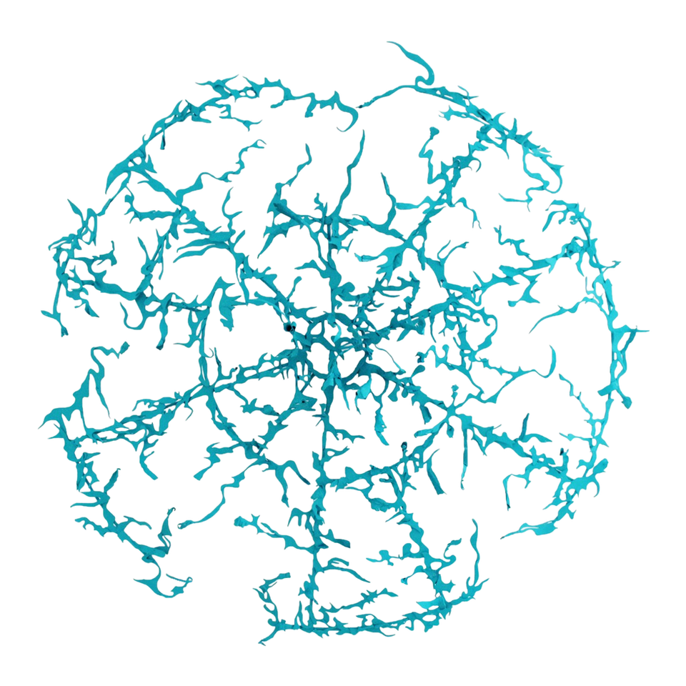 Constellation | Turquoise, 2021
Bronze Unique 
220 cm