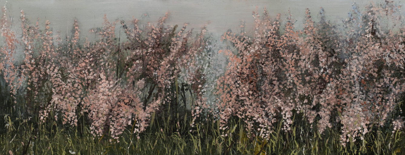 Keurboom Woodland
Oil on board
20 x 50 cm