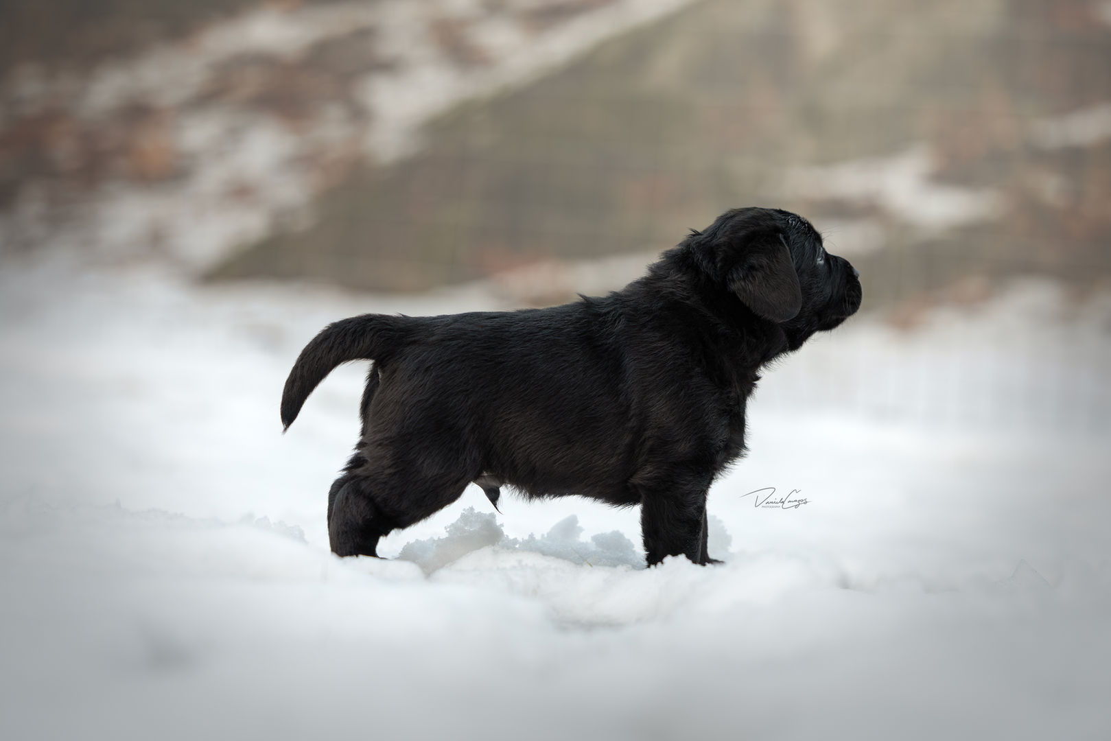 Ghoststone Hyspire Just One Kiss