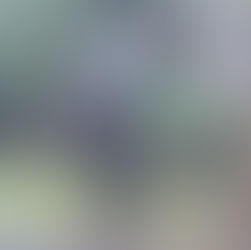 急に冬になってきました