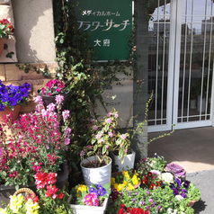 春を感じてみませんか