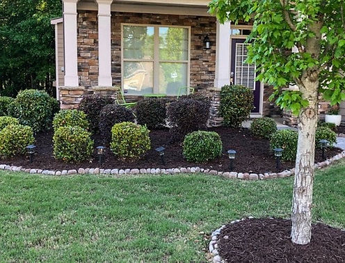 Brown Mulch Bed