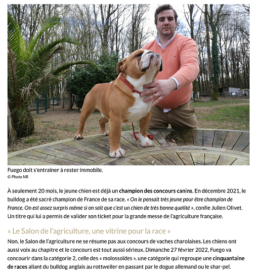 Capture d’écran 2022-02-25 à 08.13.40.png