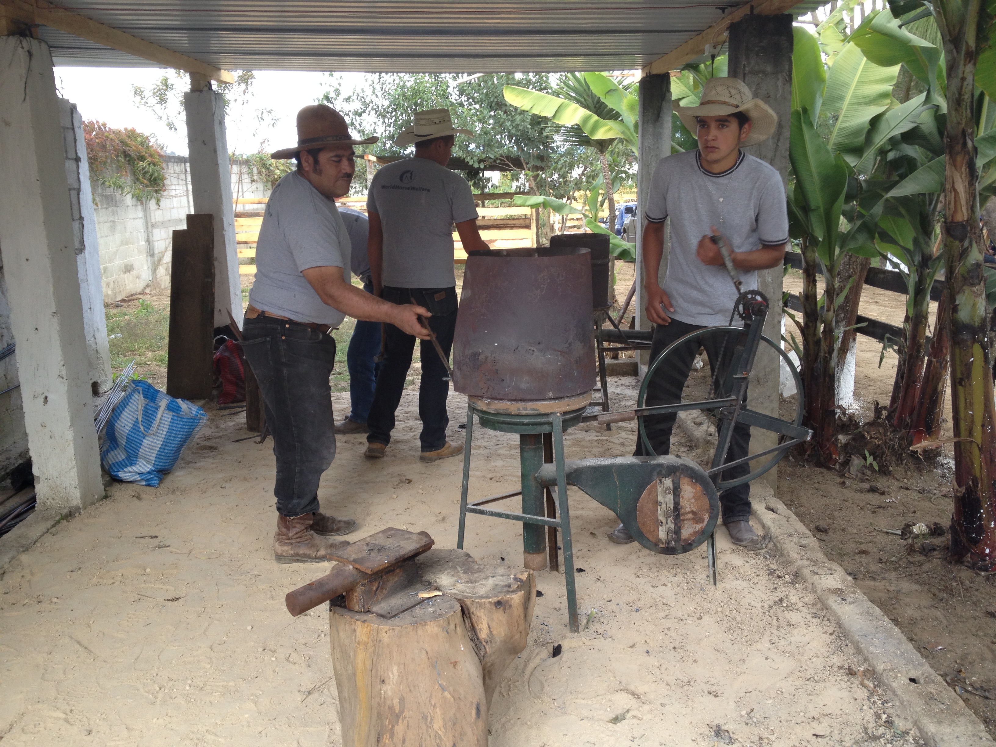 Farriery Solution WHW Project Guatemala