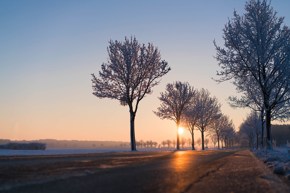 Žiemą Lietuvoje natūraliai saulės pagalba pasigaminti vitamino D itin sudėtinga