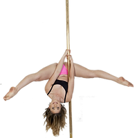 lenka invert no bac.png