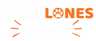 Texto_del_párrafo-removebg-preview.png