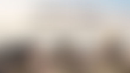 Camouflaged : Forgotten stories from Battlefields