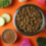 alimentos para gatos