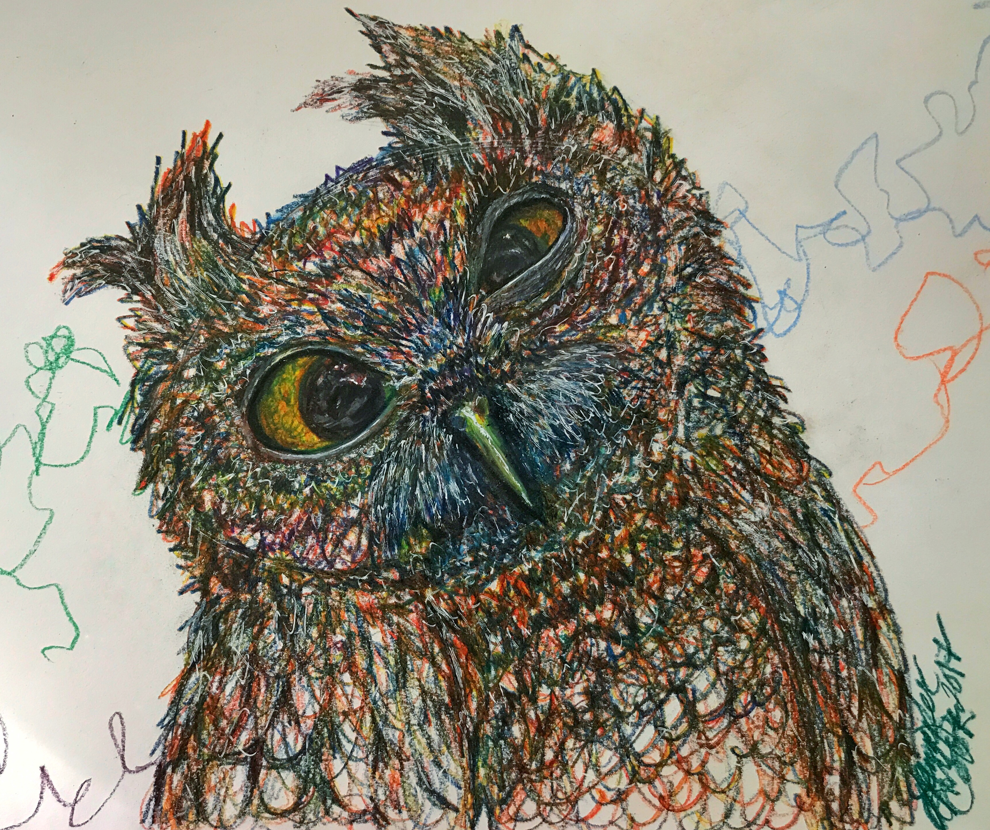 Owl Eyeballing You