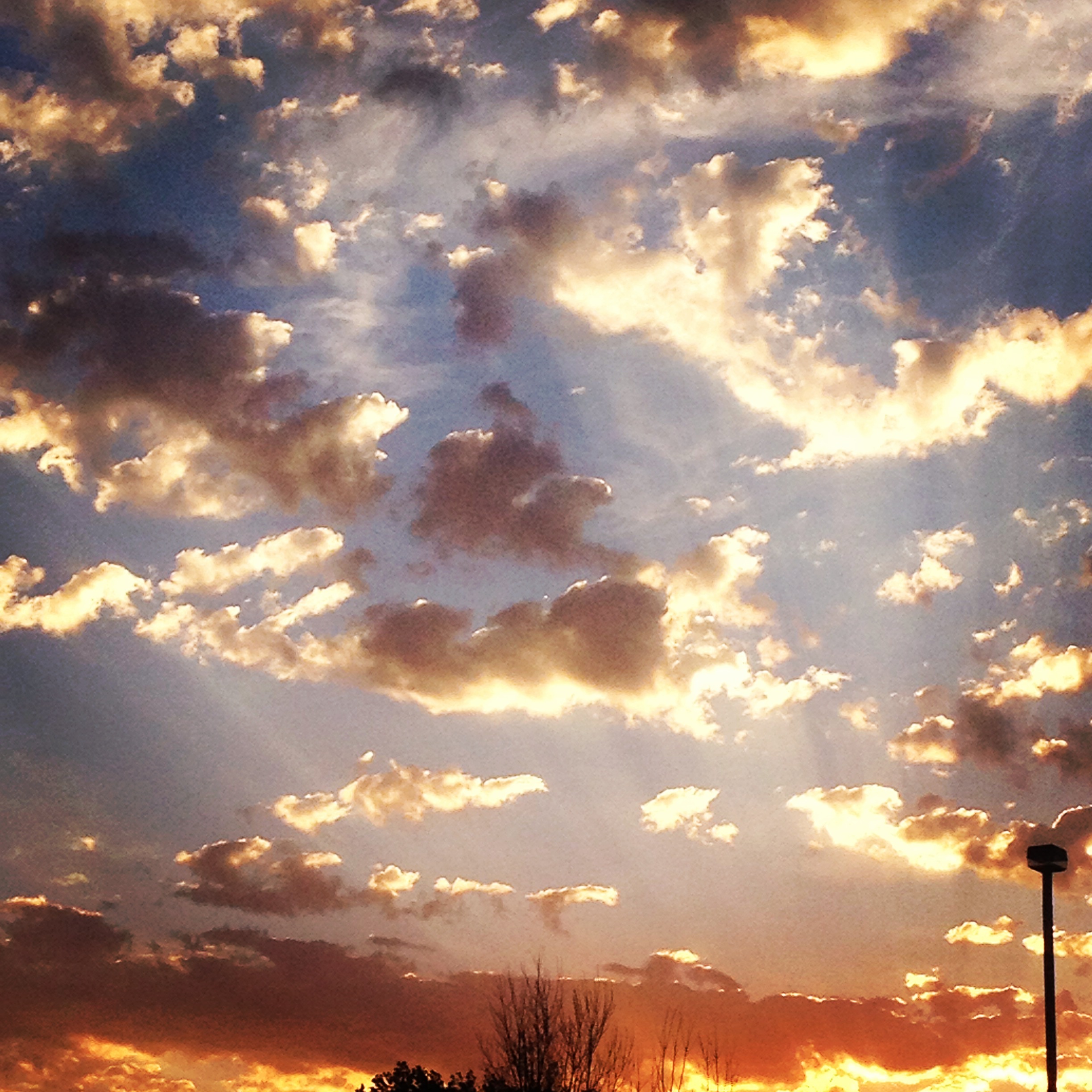 Bus Depot Sunrise