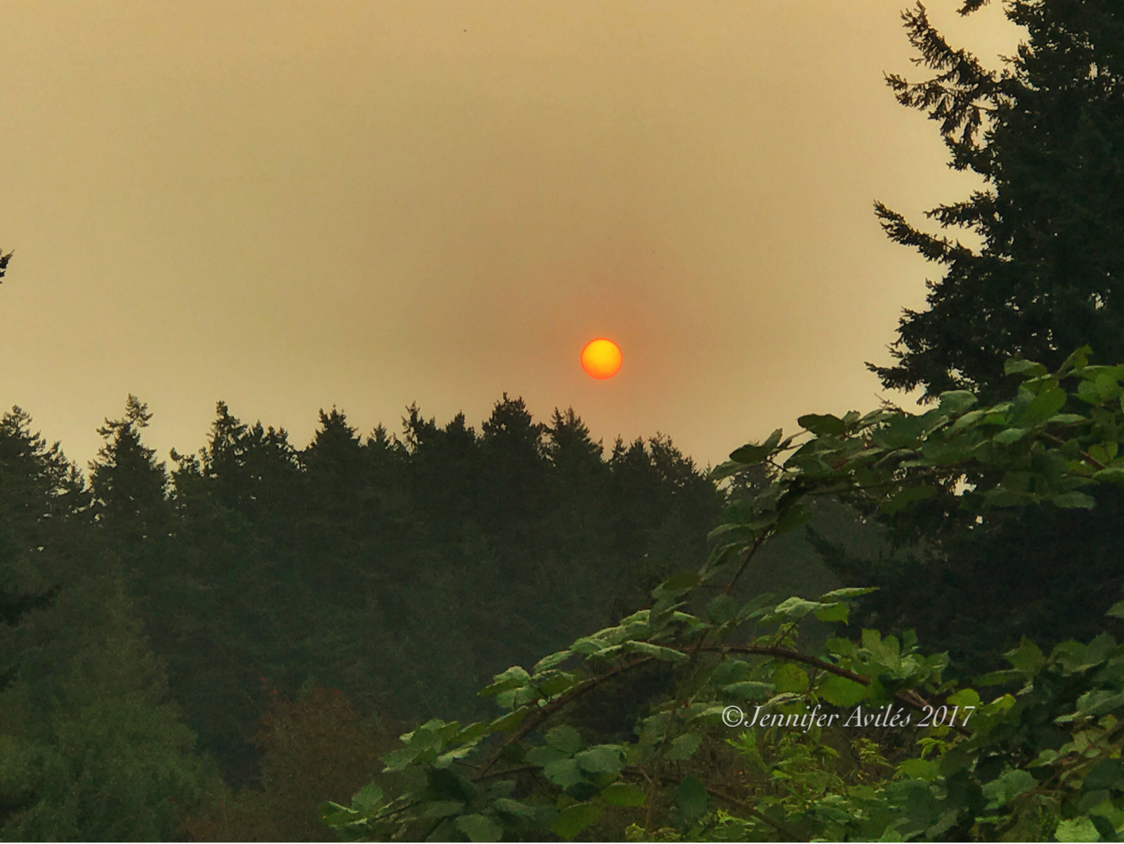Veiled Sunrise