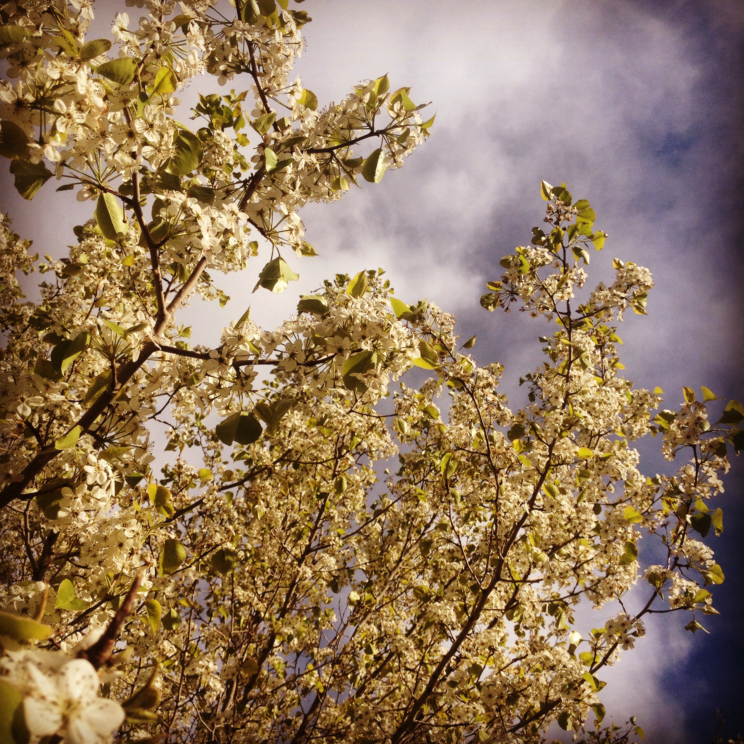 Spring Time!