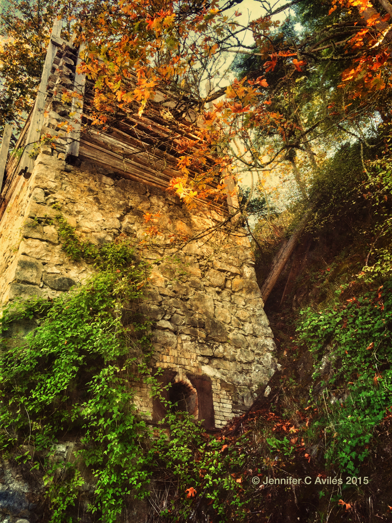Lime Kiln Roche Harbor