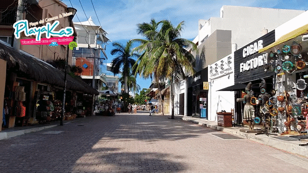 5ta Avenida y Playa