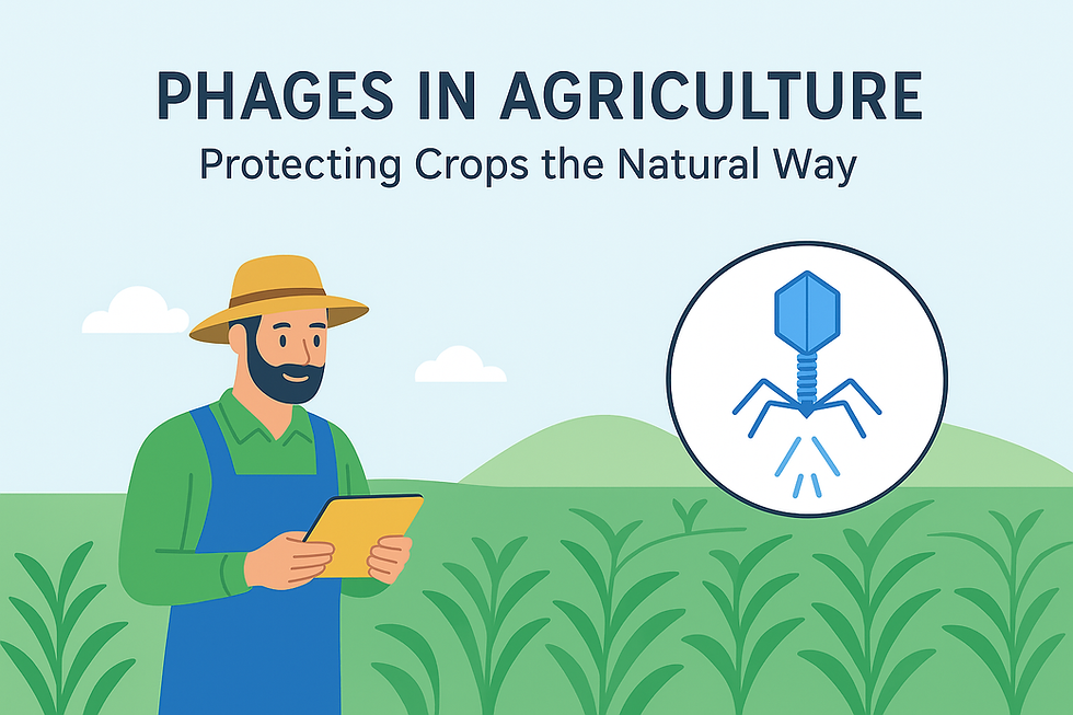 Phages in Agriculture: Protecting Crops the Natural Way
