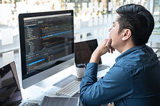 Software Architect