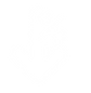 sports massage web images.png