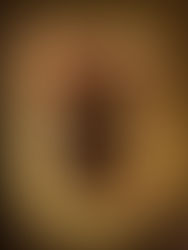 Bienvenido al Verano 2018