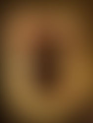 Bienvenido al Verano 2018