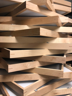 Museum Frames