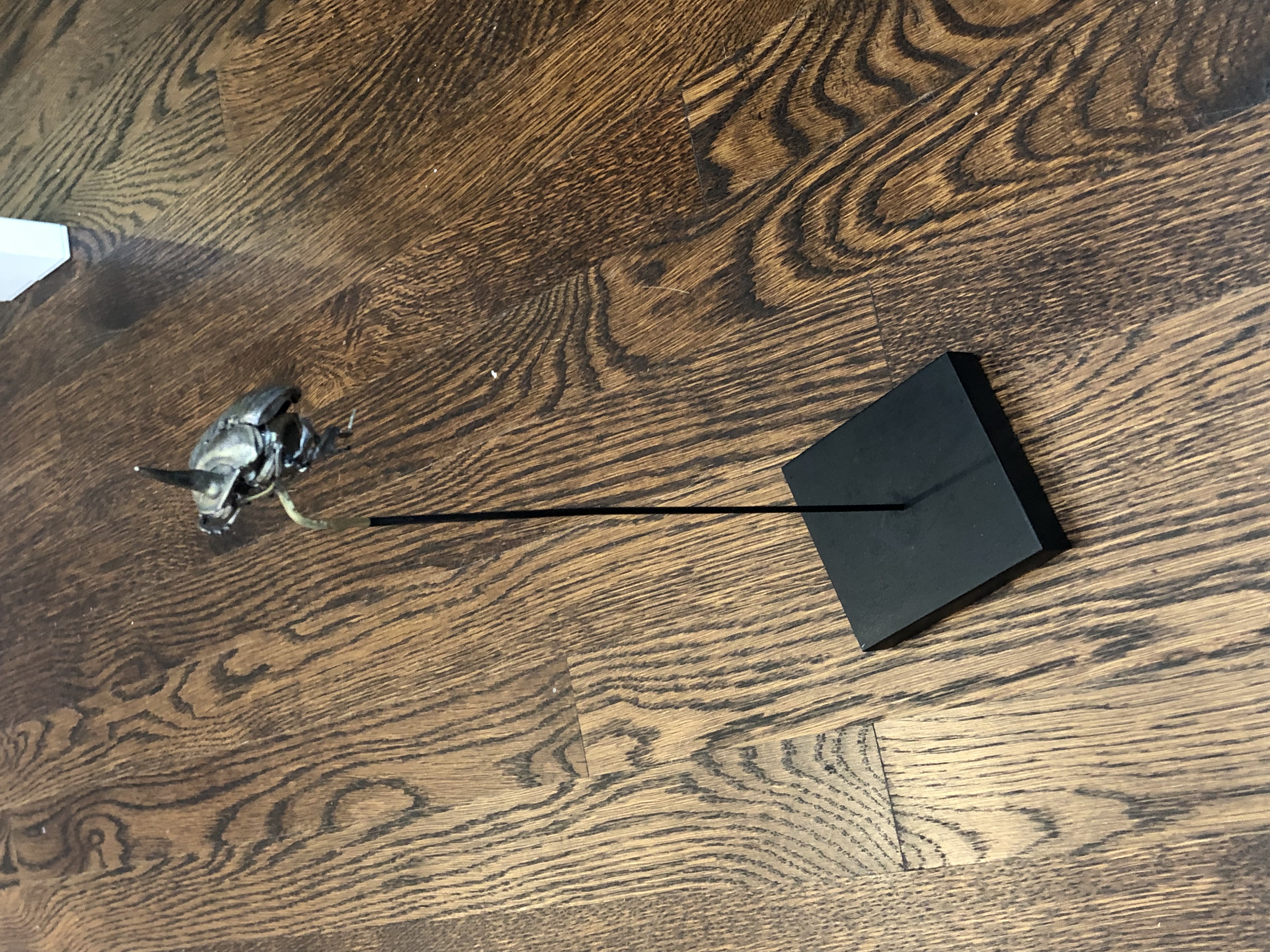 Bug Mount