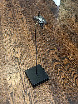 Bug Mount