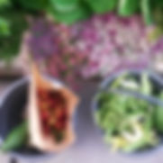 allotment.jpeg