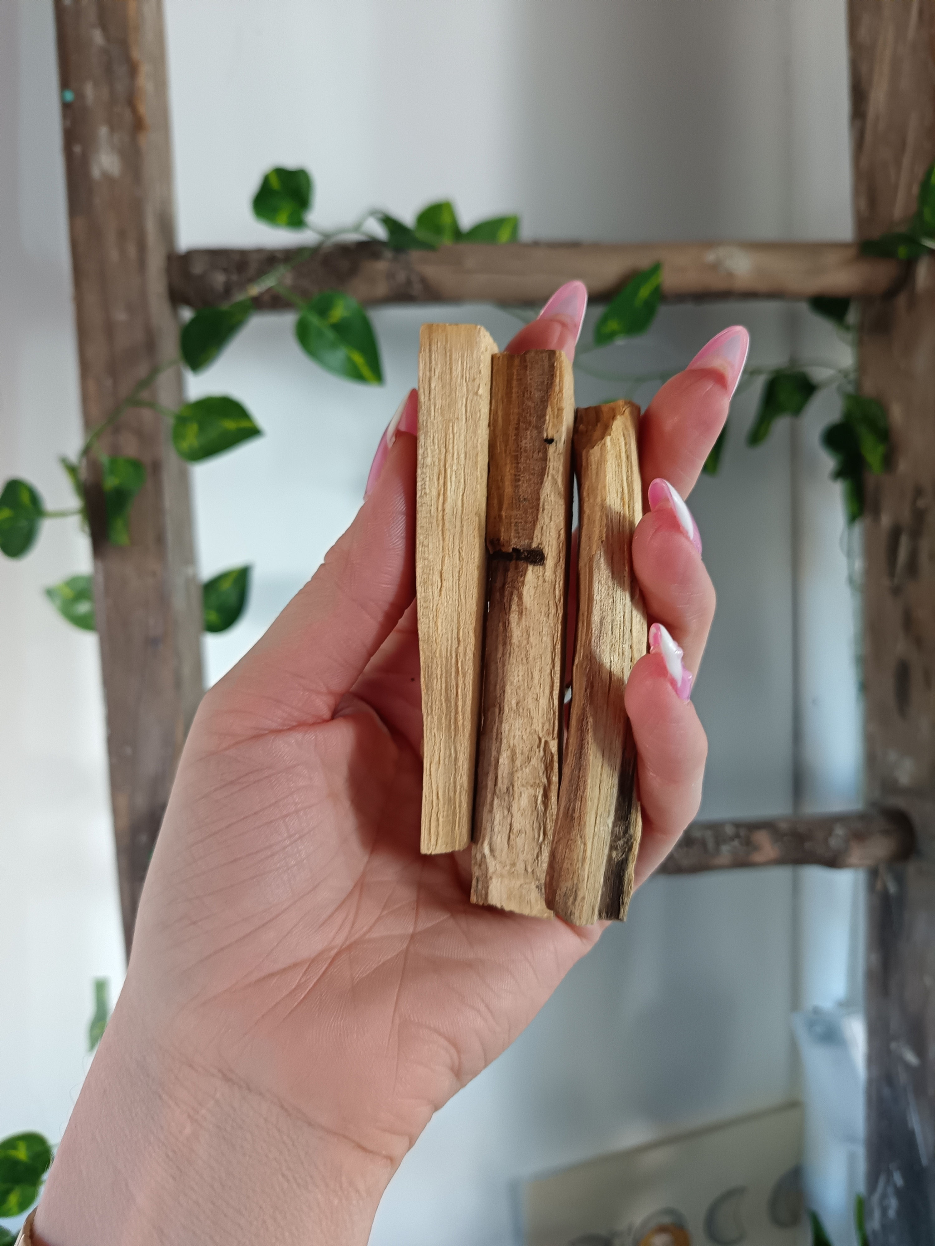 PALO SANTO - À l'unité 