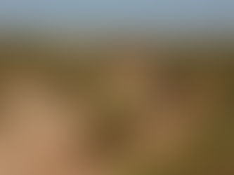 Naturism: Should I let it all hang out?