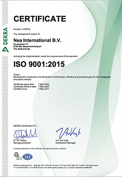 ISO 9001.png