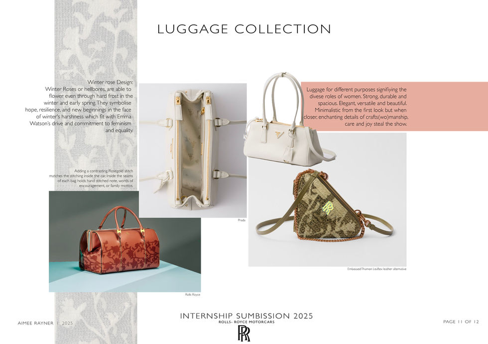 Luggage collection